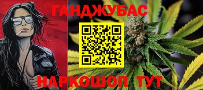 индика Гусиноозёрск
