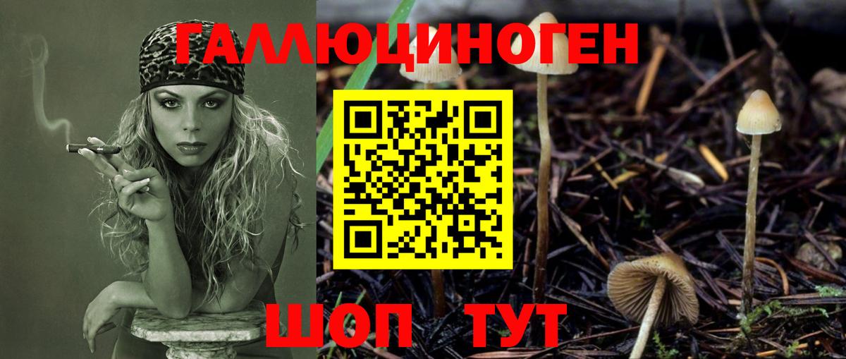Галлюциногенные грибы Psilocybe  Галлюциногенные грибы мицелий  Новочеркасск  Вход с VPN 