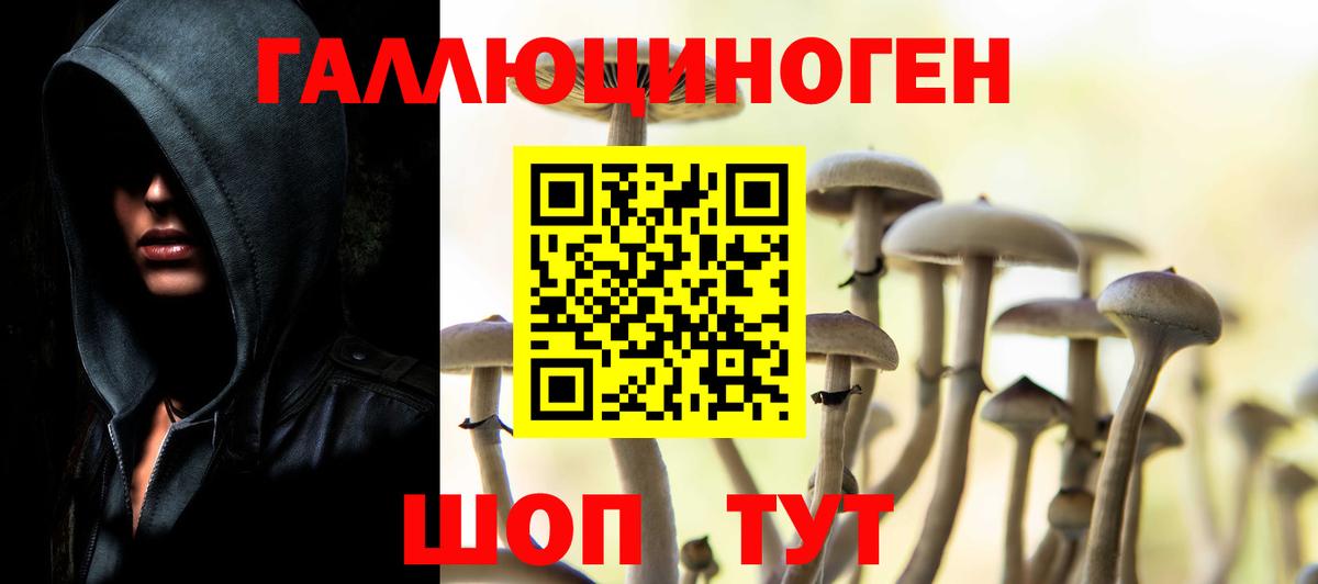 Галлюциногенные грибы Psilocybe Новочеркасск
